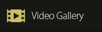Video Gallery